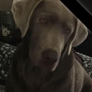 Meet your Posher, Tharesa